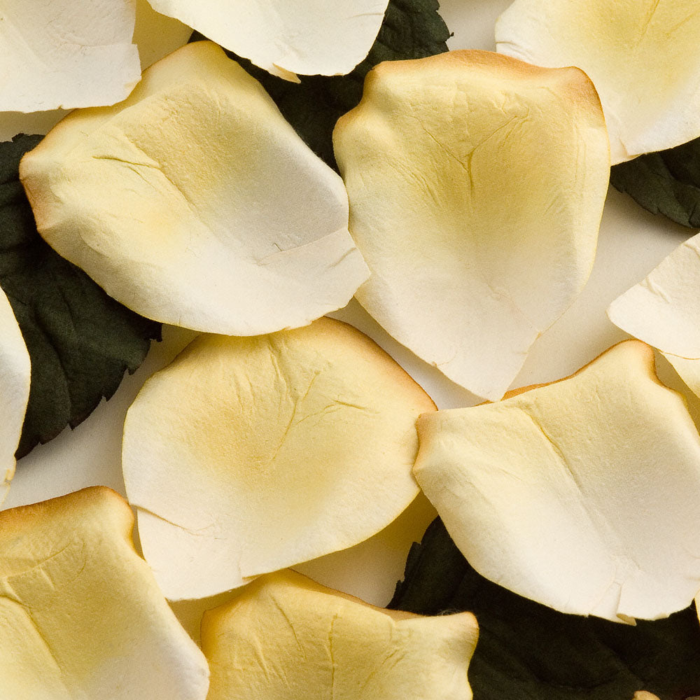 100 Golden Yellow Paper Rose Petals