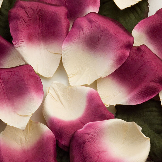 100 Ivory Fuchsia Paper Rose Petals