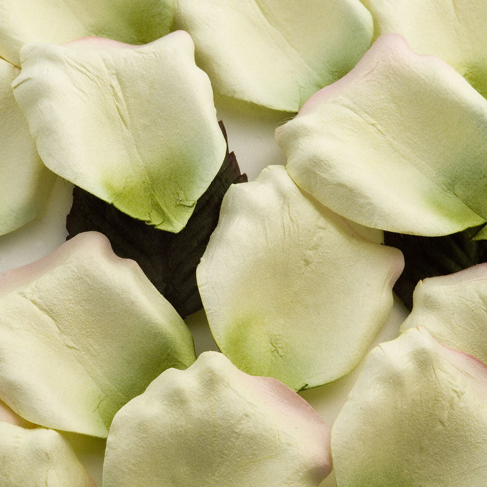 100 Ivory Pink Green Paper Rose Petals