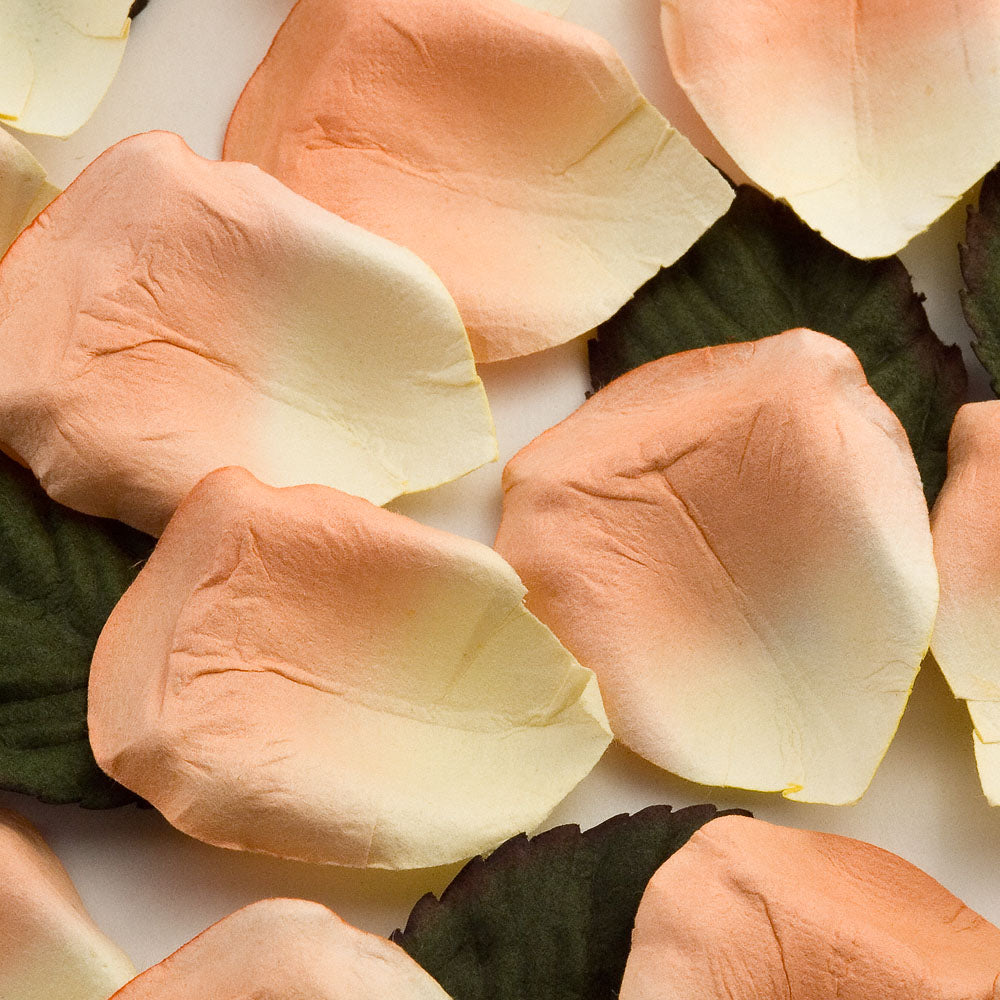 100 Peach Paper Rose Petals