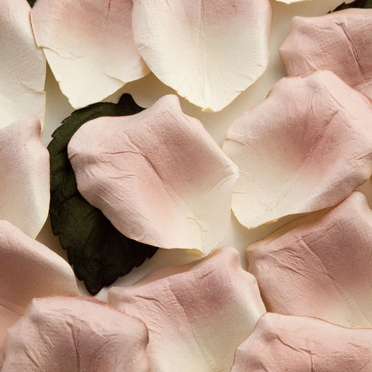 100 Shell Pink Paper Rose Petals