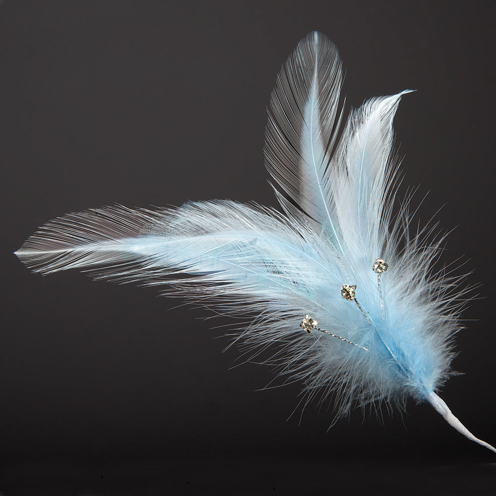 Blue Feather Stem