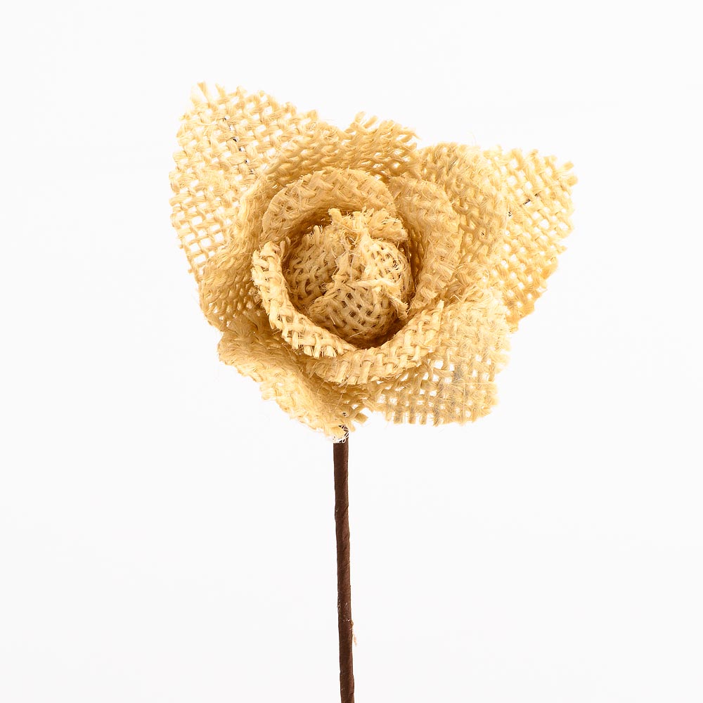 Natural Hessian Rose