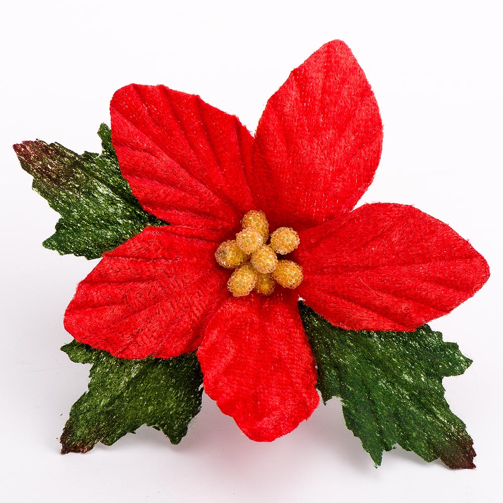 1 Stem - Red Velvet Poinsettia