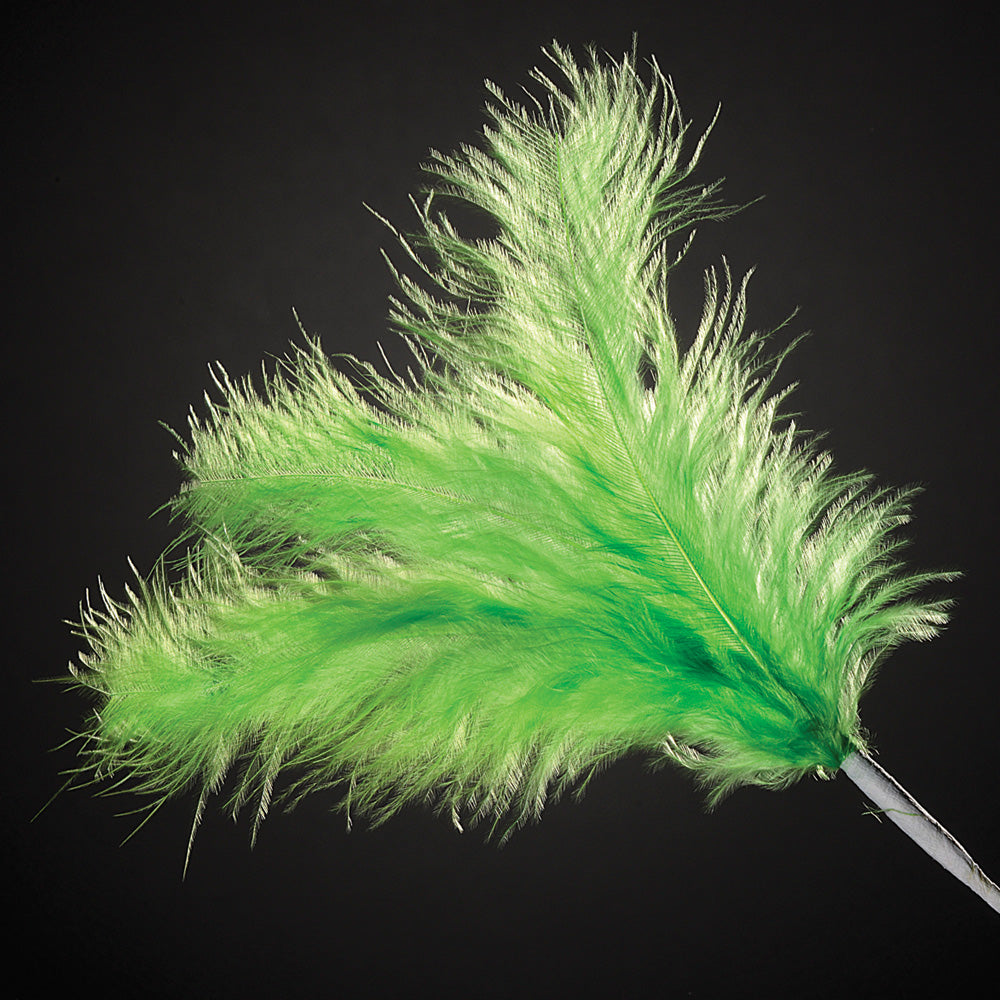 Lime Feather Stem - Perfect Tables