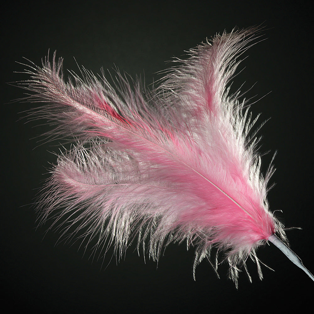 Pink Feather Stem - Perfect Tables