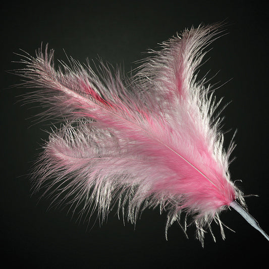 Pink Feather Stem