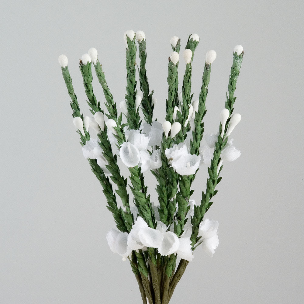 White Heather Bunch of 12