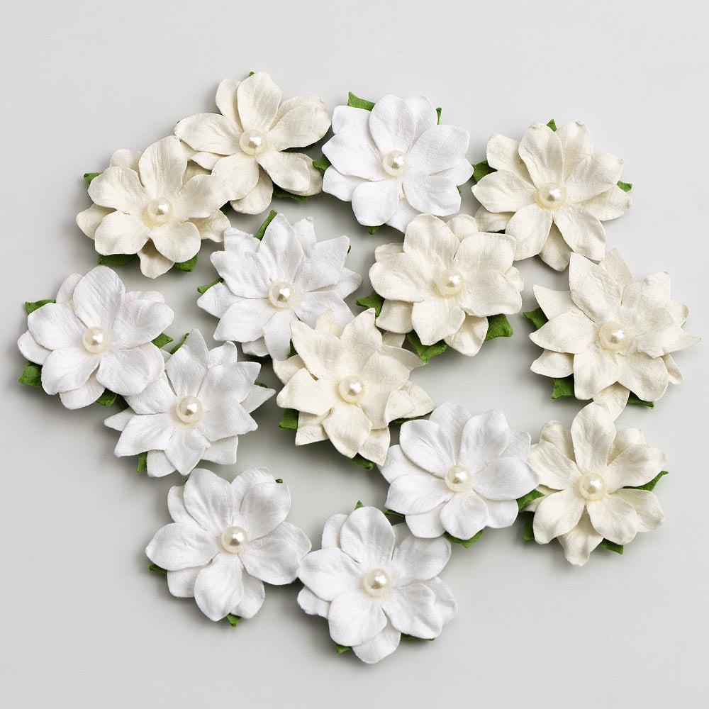 White and Ivory Pearl Centre Pack of 14