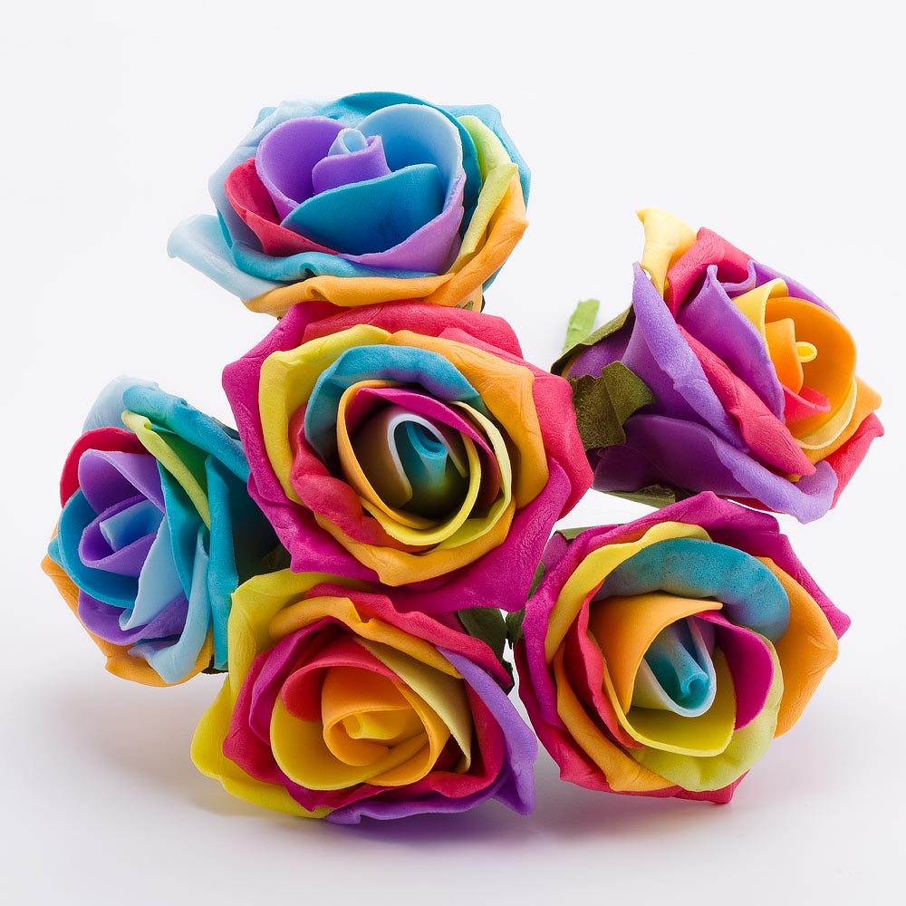 Rainbow 5cm Foam Roses Bunch of 6