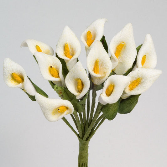 Arum Lily Bunch of 12