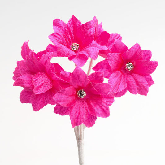 Fuchsia Diamante Margherita Bunch of 6