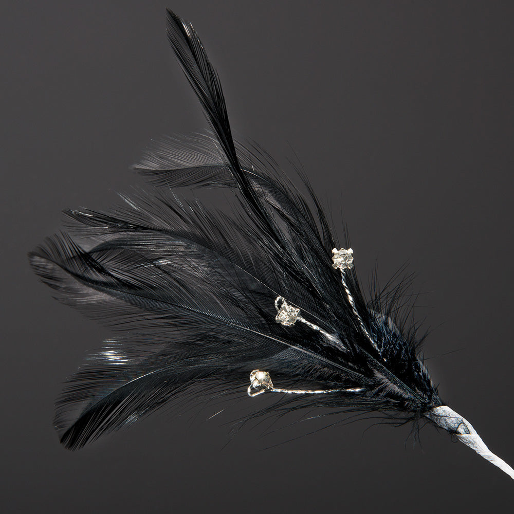 Black Feather Stem
