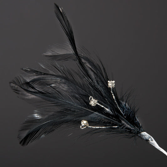 Black Feather Stem