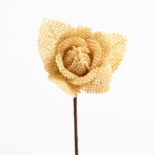 Natural Hessian Rose