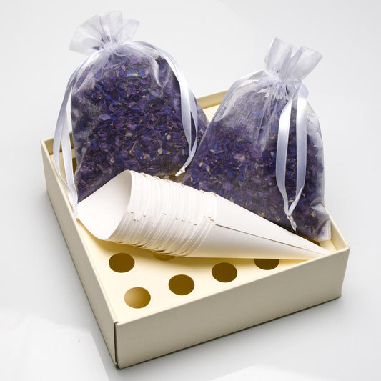 Purple 2 Litre Delphinium with Tray and Cones