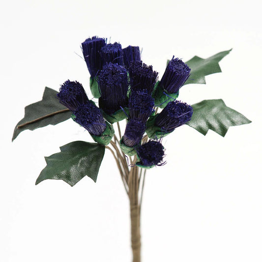 Purple Thistle Bunch of 12