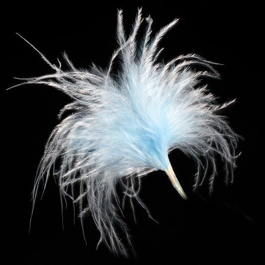 Blue Loose Feather