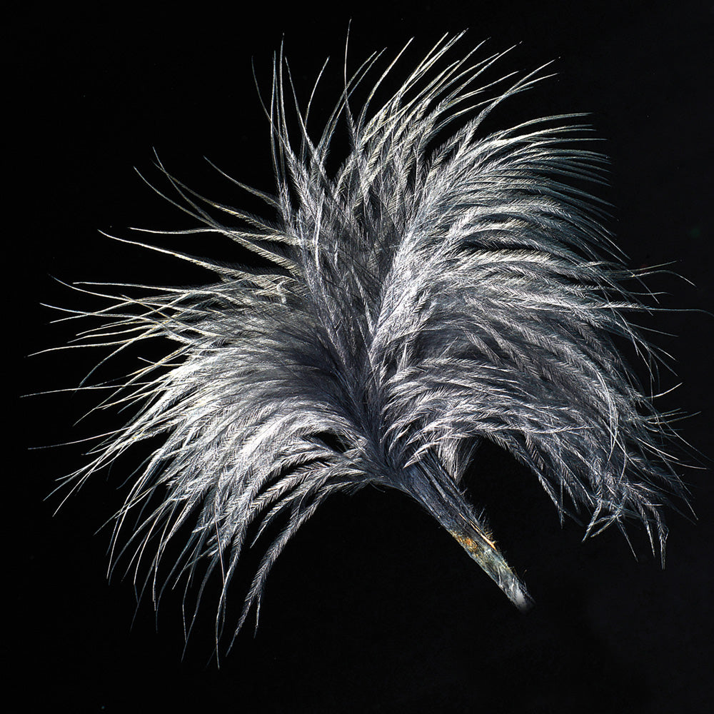 Black Loose Feather