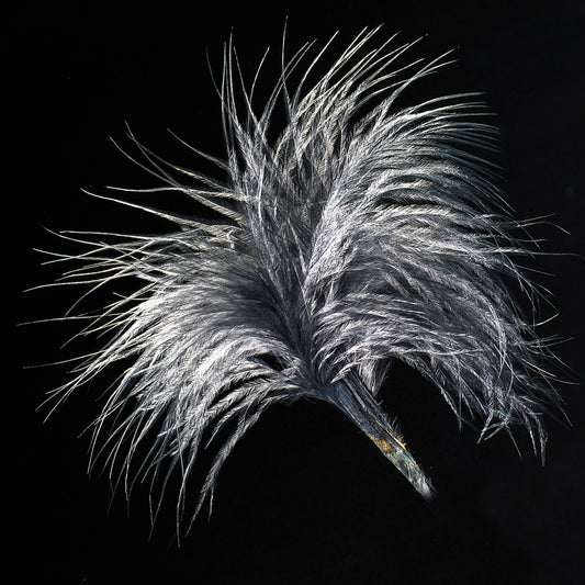 Black Loose Feather