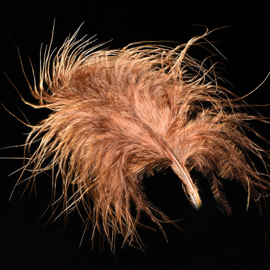 Brown Loose Feather