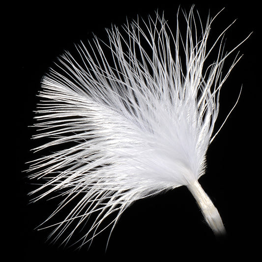 White Loose Feather
