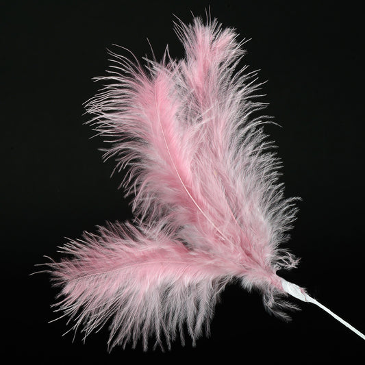 Dusky Pink Feather Stem