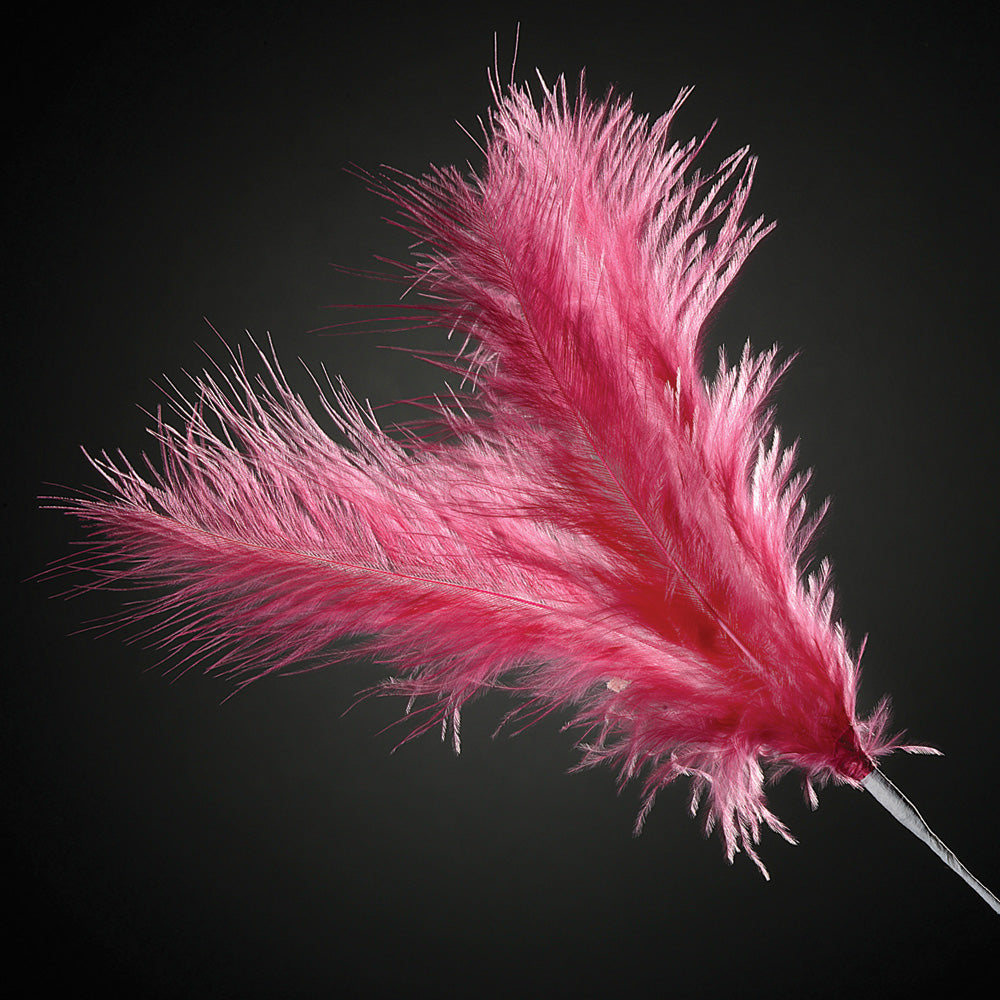 Fuchsia Feather Stem