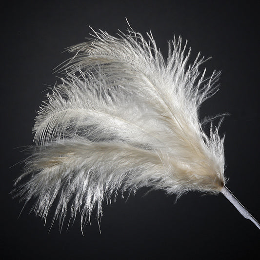 Ivory Feather Stem
