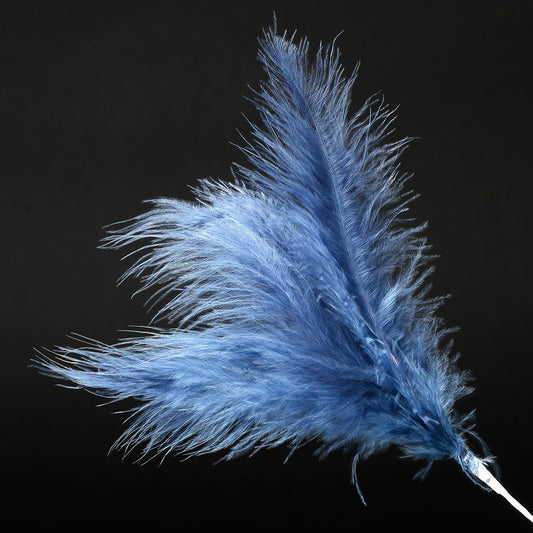 Navy Blue Feather Stem