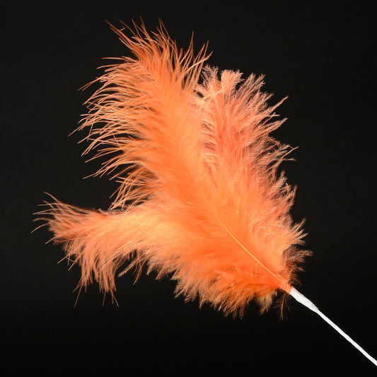 Orange Feather Stem