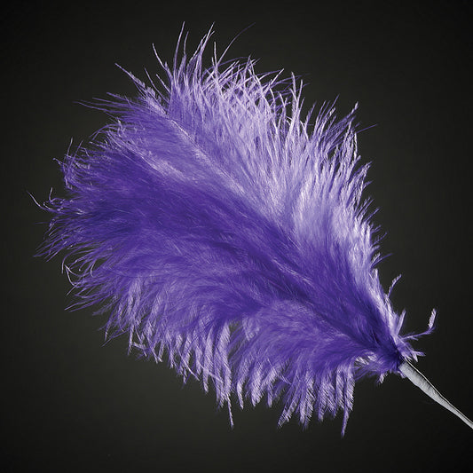 Purple Feather Stem