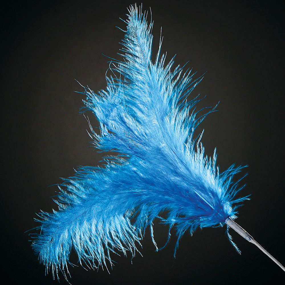 Royal Blue Feather Stem