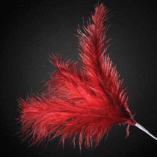Red Feather Stem