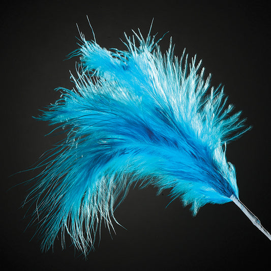 Turquoise Feather Stem