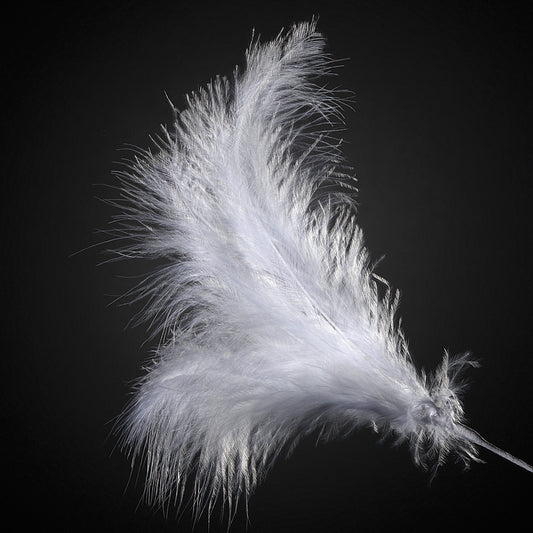 White Feather Stem