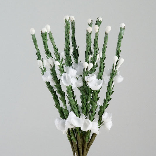 White Heather Bunch of 12