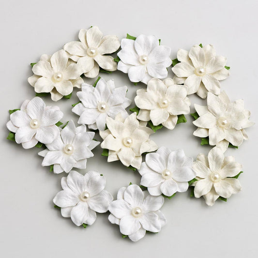 White and Ivory Pearl Centre Pack of 14