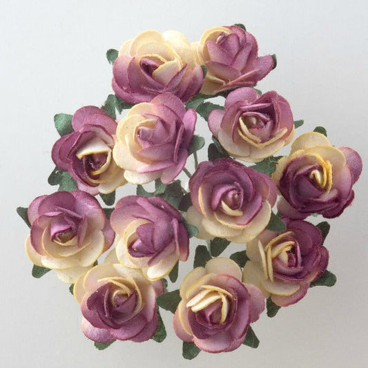 Cream and Burgundy Paper Tea Roses Bunch of 12